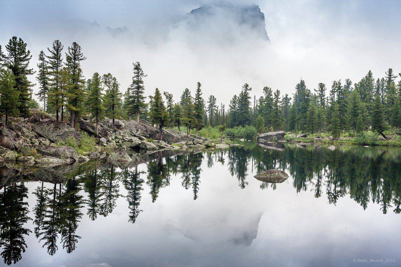 , Акулич Макс