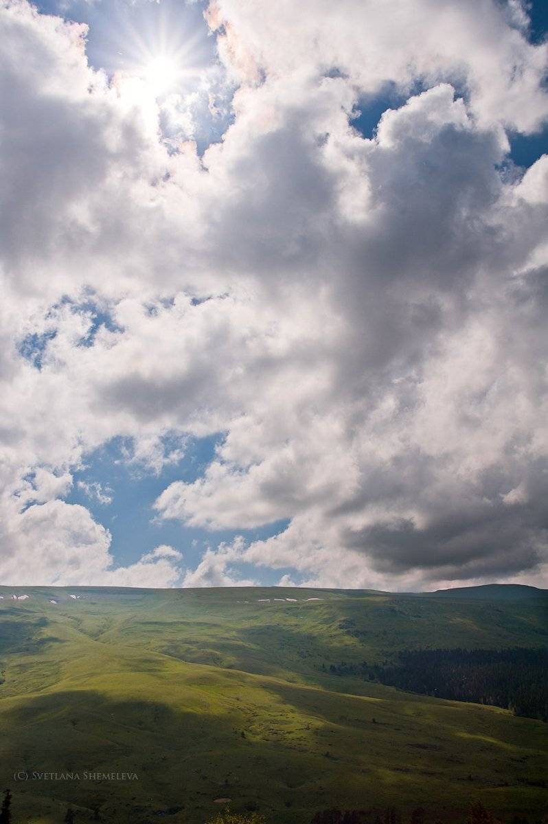 , Светлана Щемелева