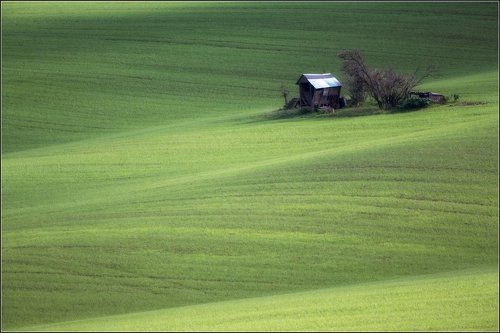 Среди холмов зелёных сарайчик одинокий