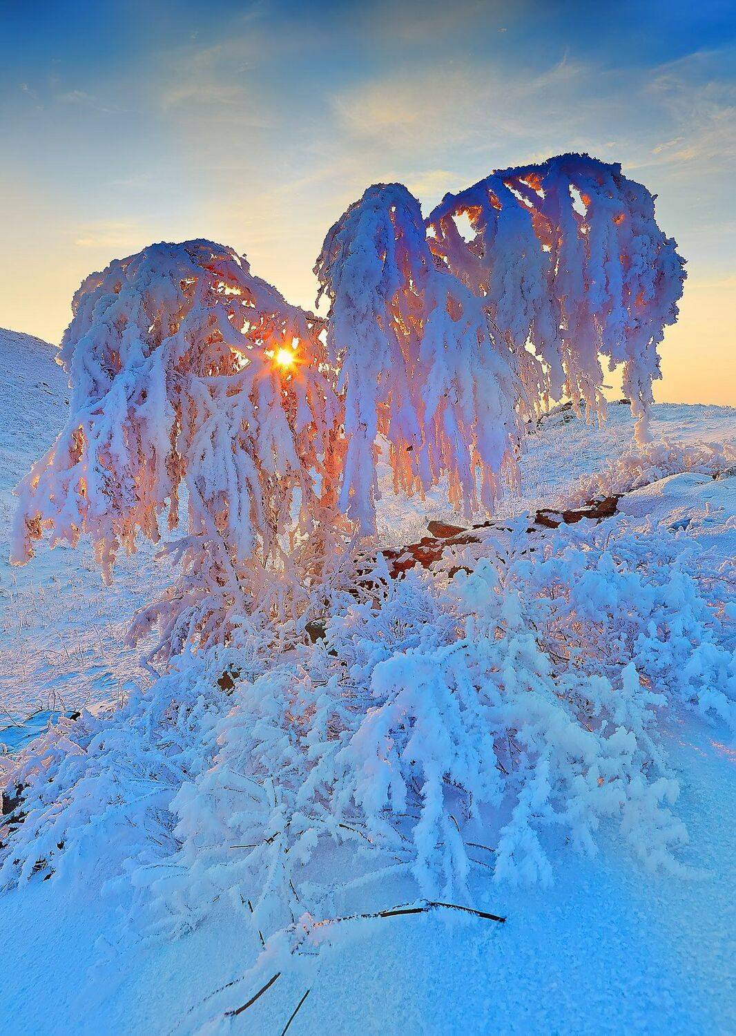 , Качурин Алексей