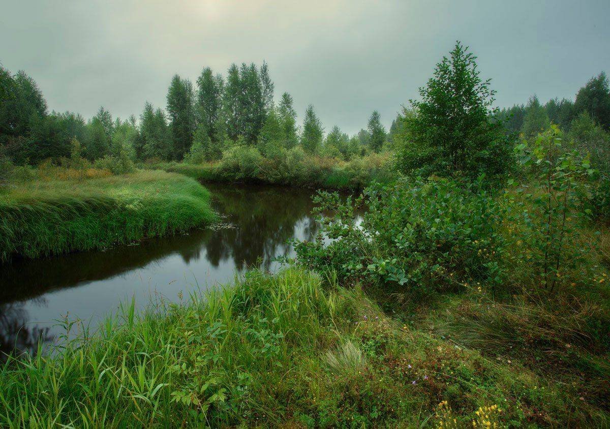 , Хохряков Николай