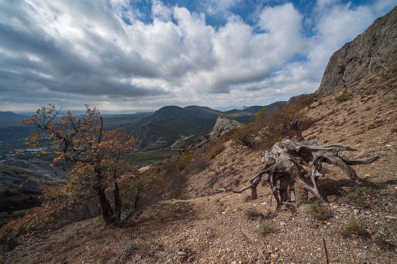 , Олег Логунов