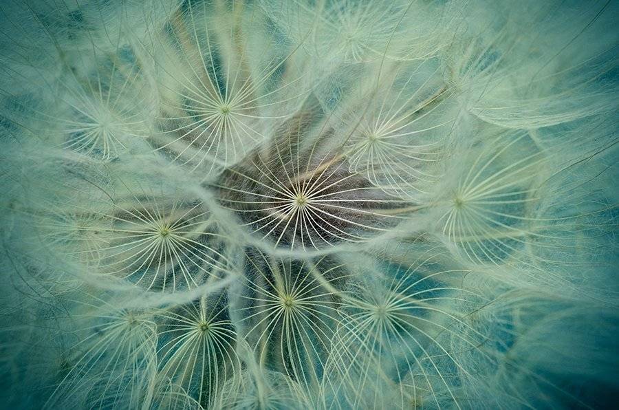 , Таня  Маркова