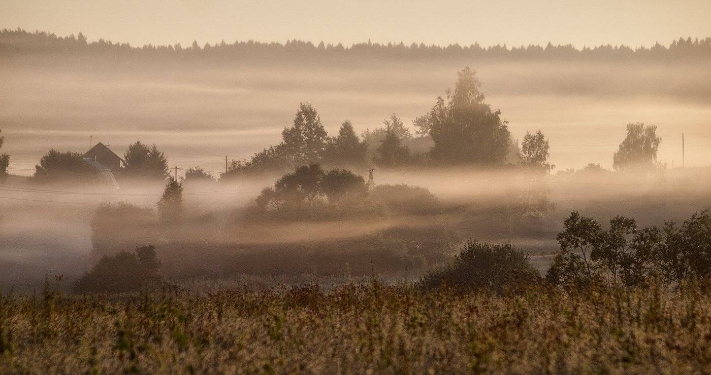 , Владимир Перепечаев