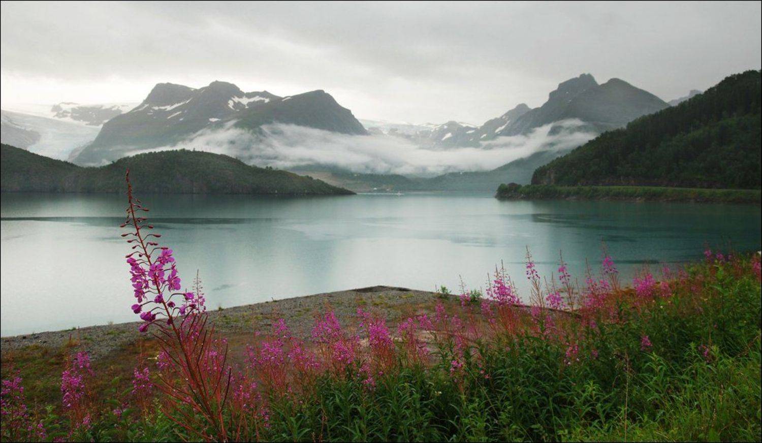 , Крицак Ольга