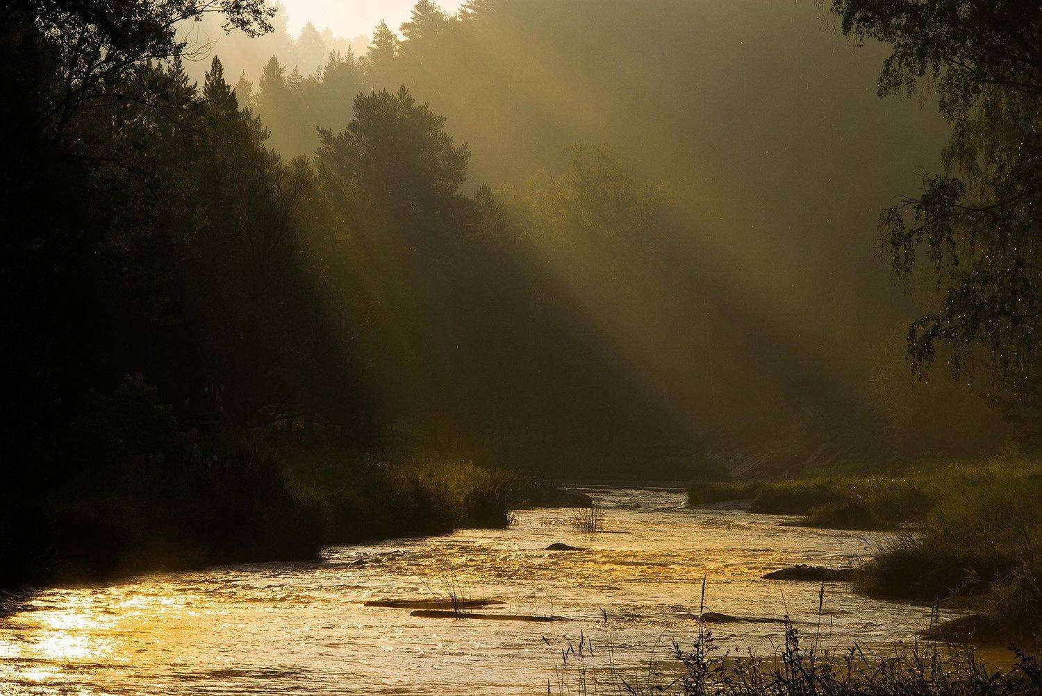 , Орлов Михаил