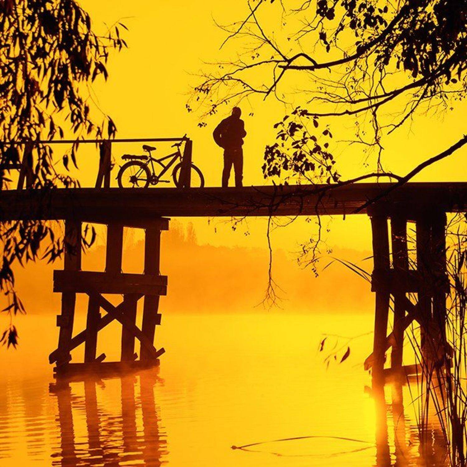 , Владимир Точаненко