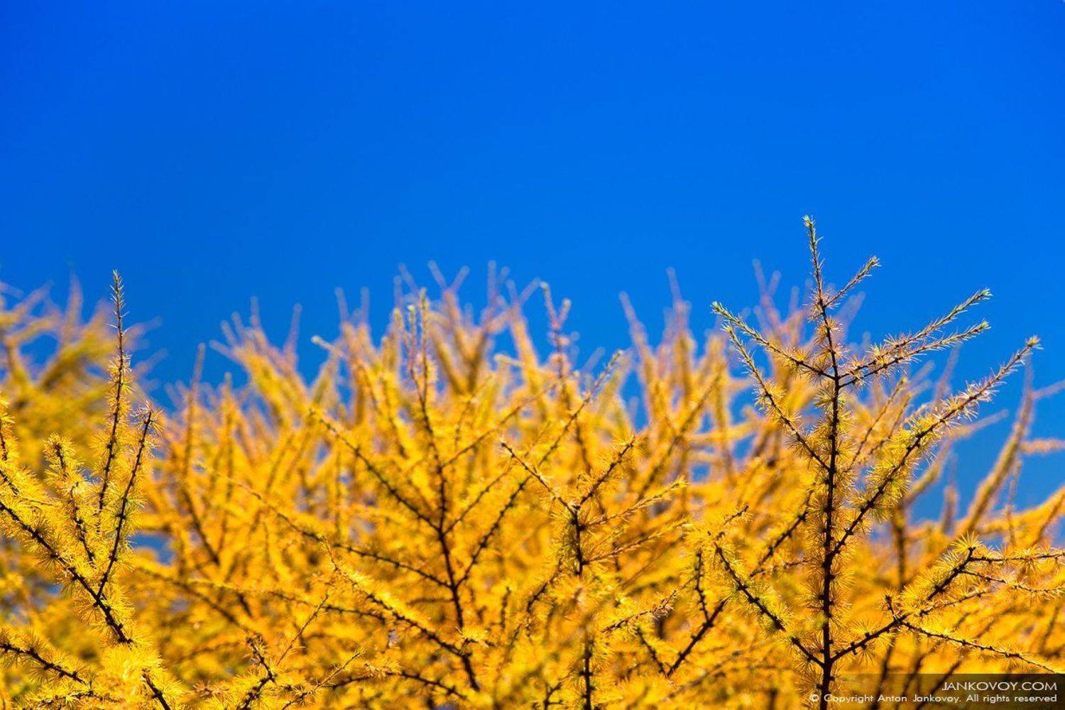 , Антон Янковой (www.photo-travel.com.ua)