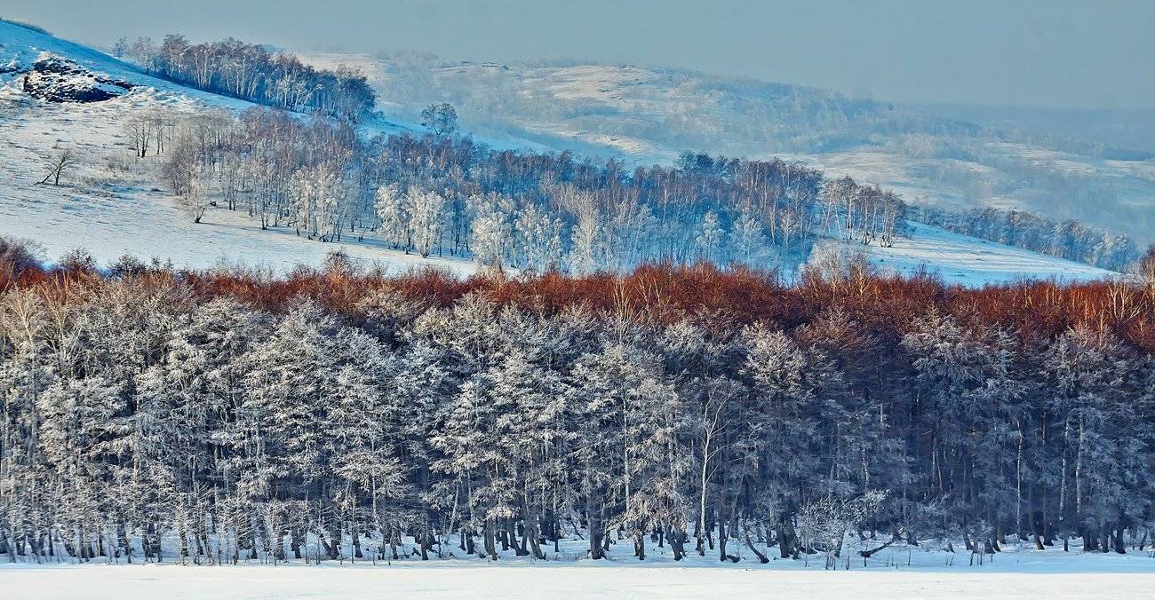 , Качурин Алексей