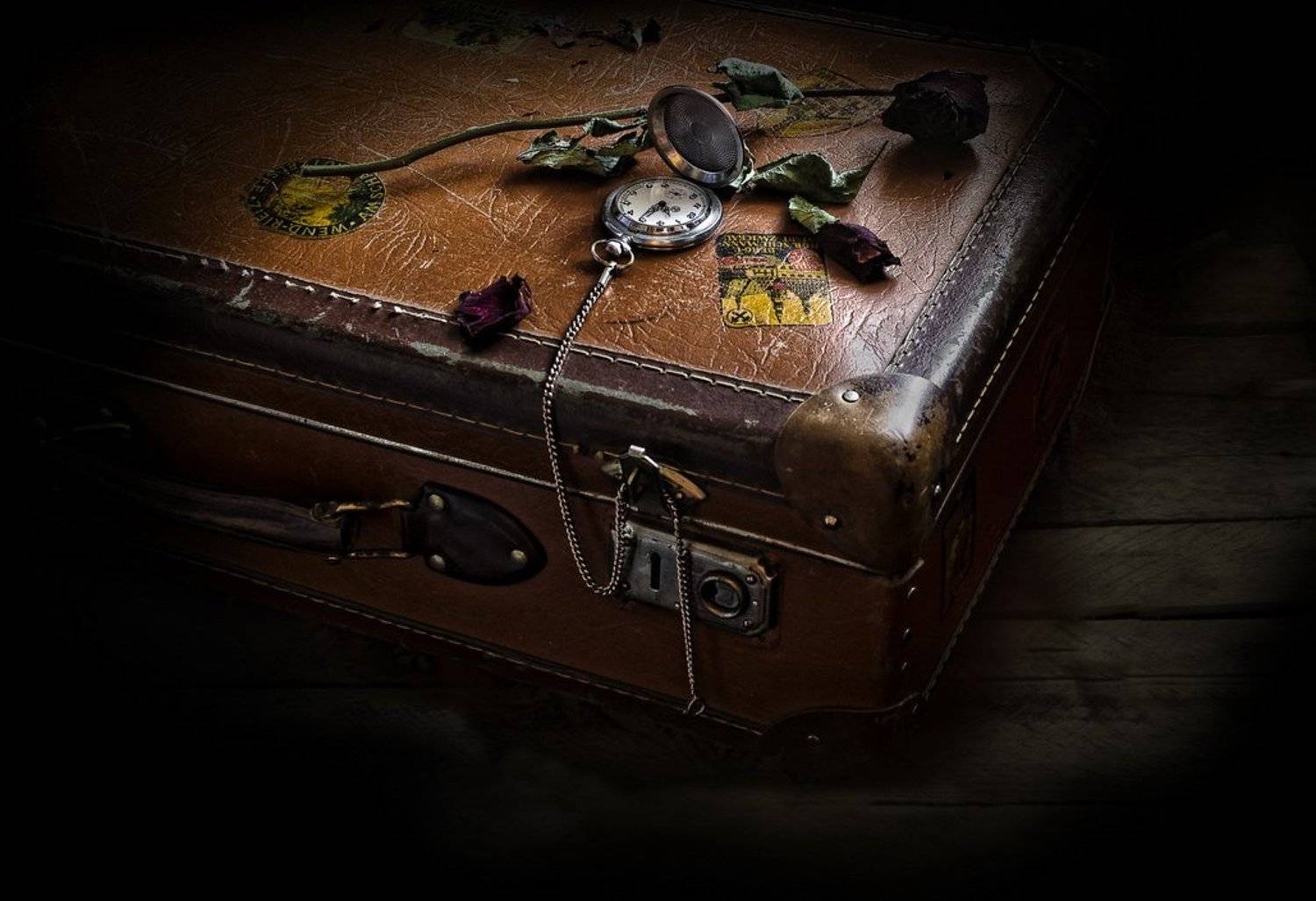 , Михаил Анисимов