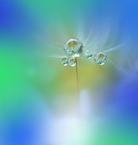 World of the Drops...
