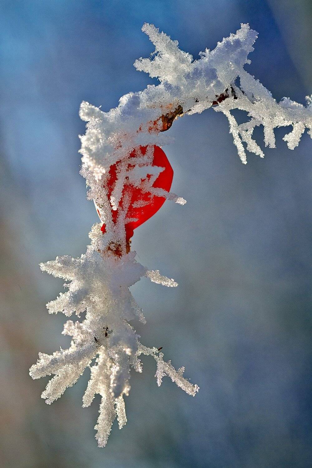 , Качурин Алексей