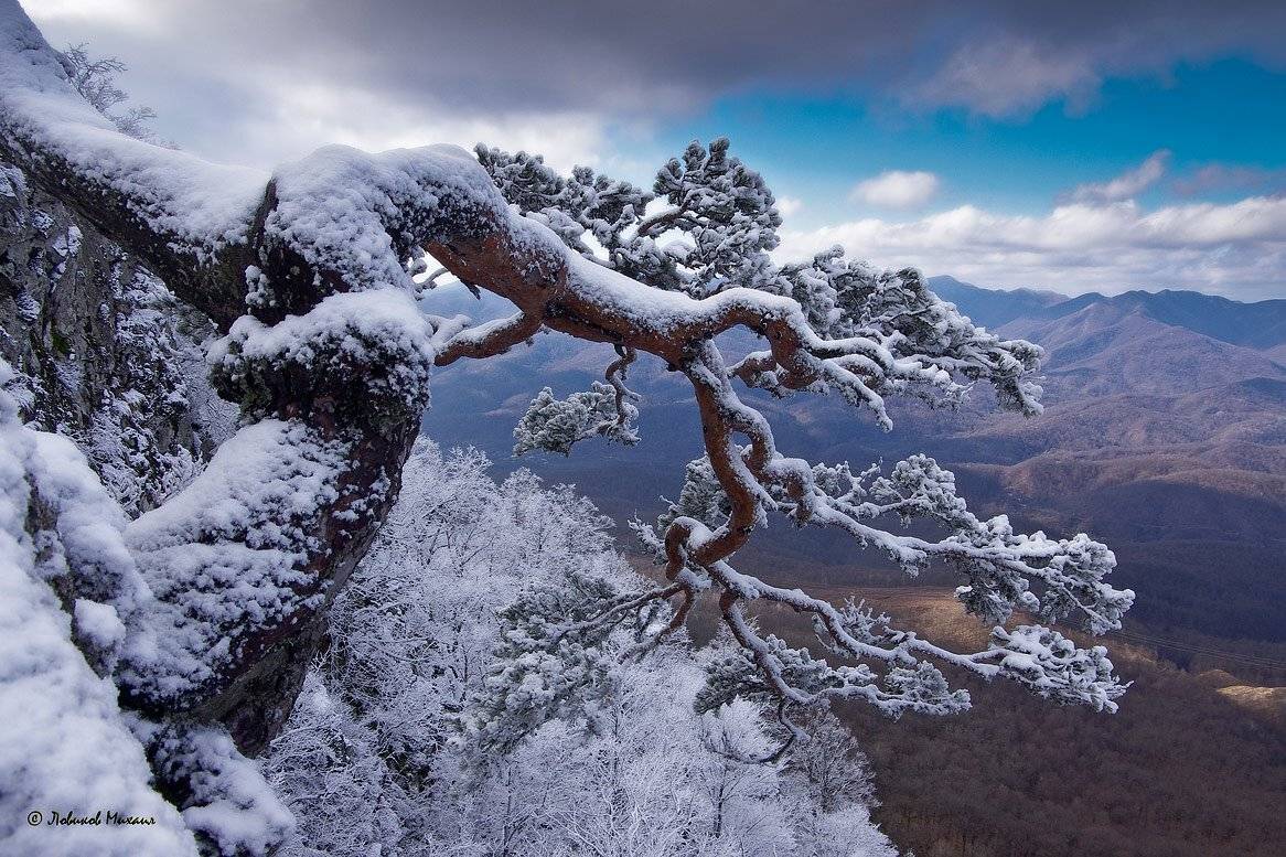 , Ловиков Михаил