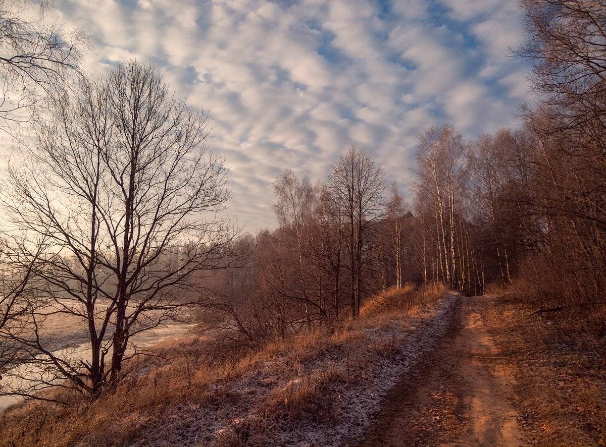 , Владимир Перепечаев