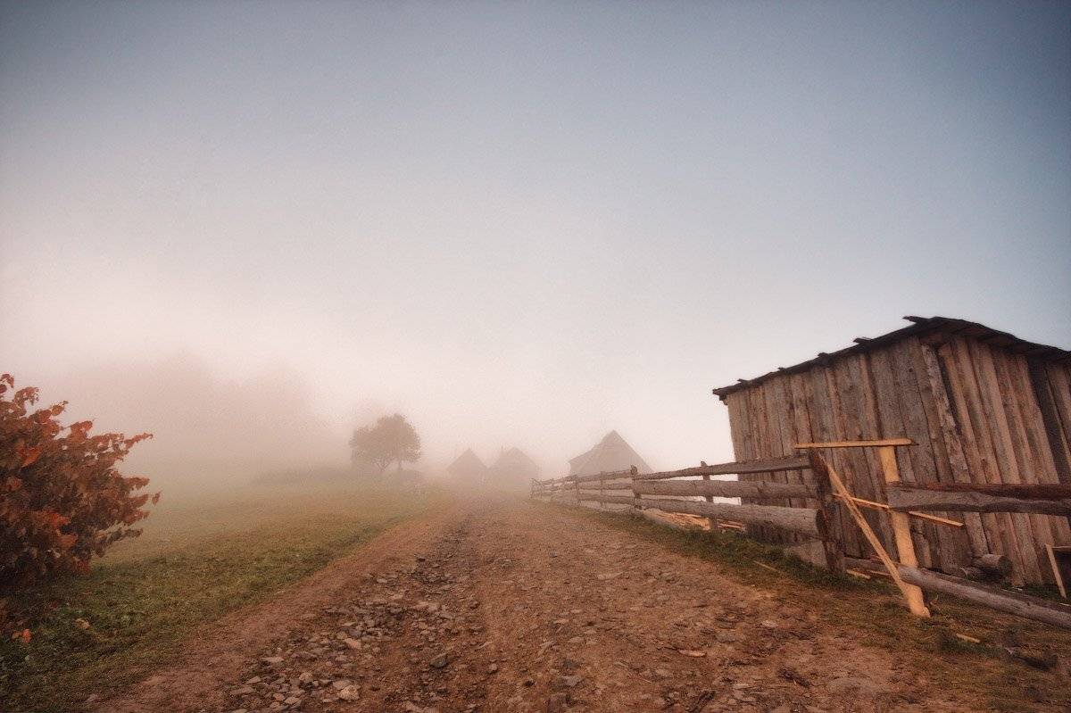 , Вейзе Максим