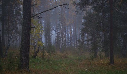 В осенней тиши