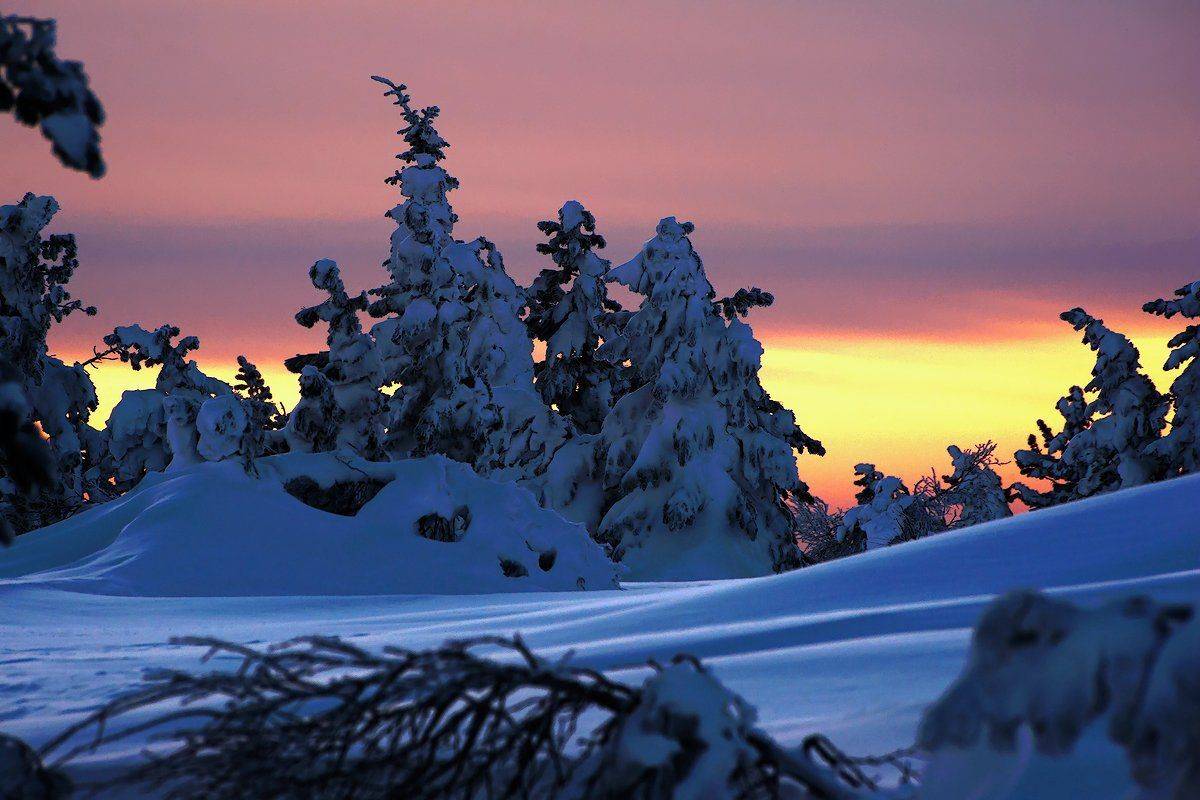 , Валерий Пешков