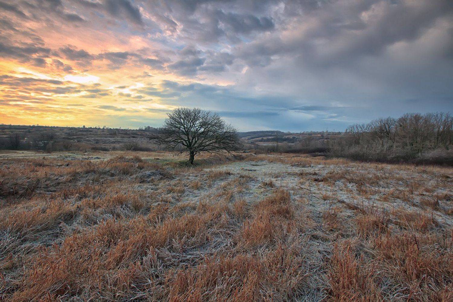 , Петр Антонович