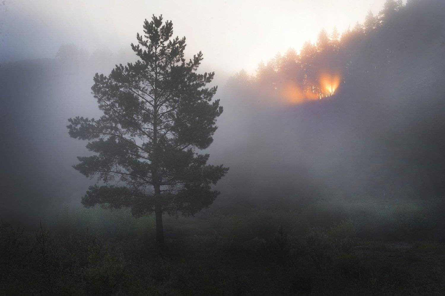 , Орлов Михаил