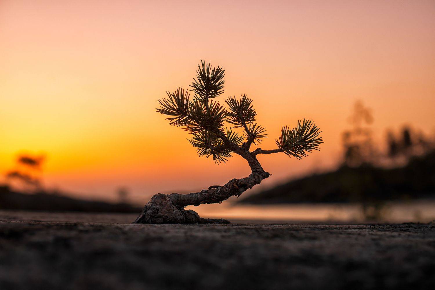 пейзаж ладога рассвет шхеры, Третьякова Анастасия
