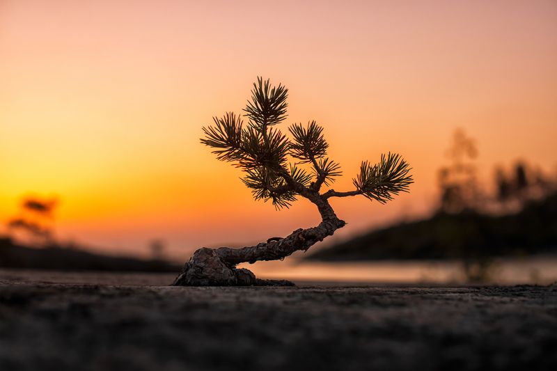 Жить. фото превью