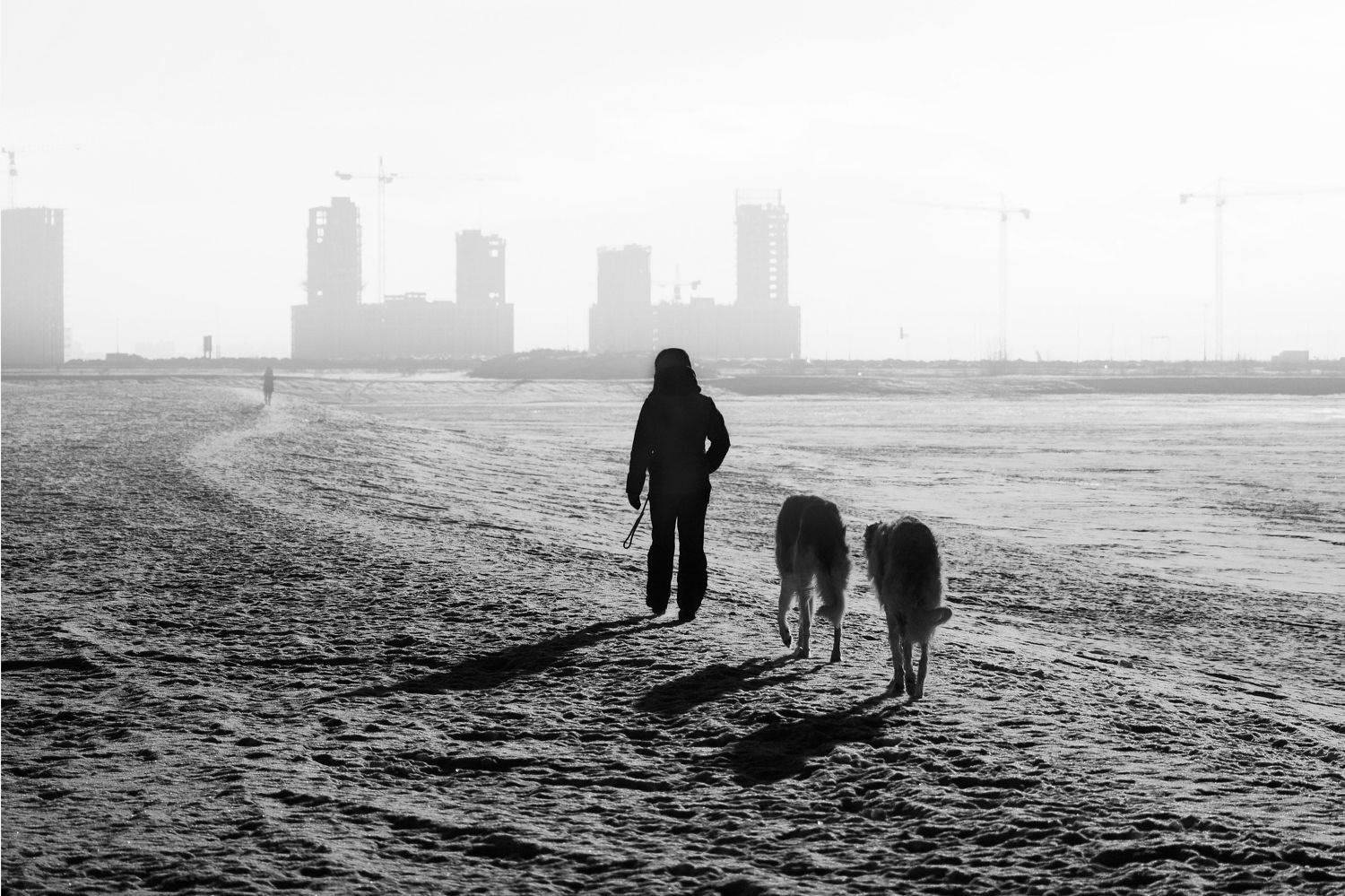 , Дьяченко Алёна