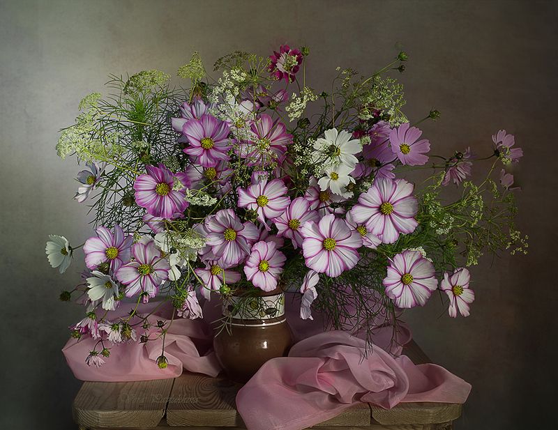 Розовые космеи. фото превью