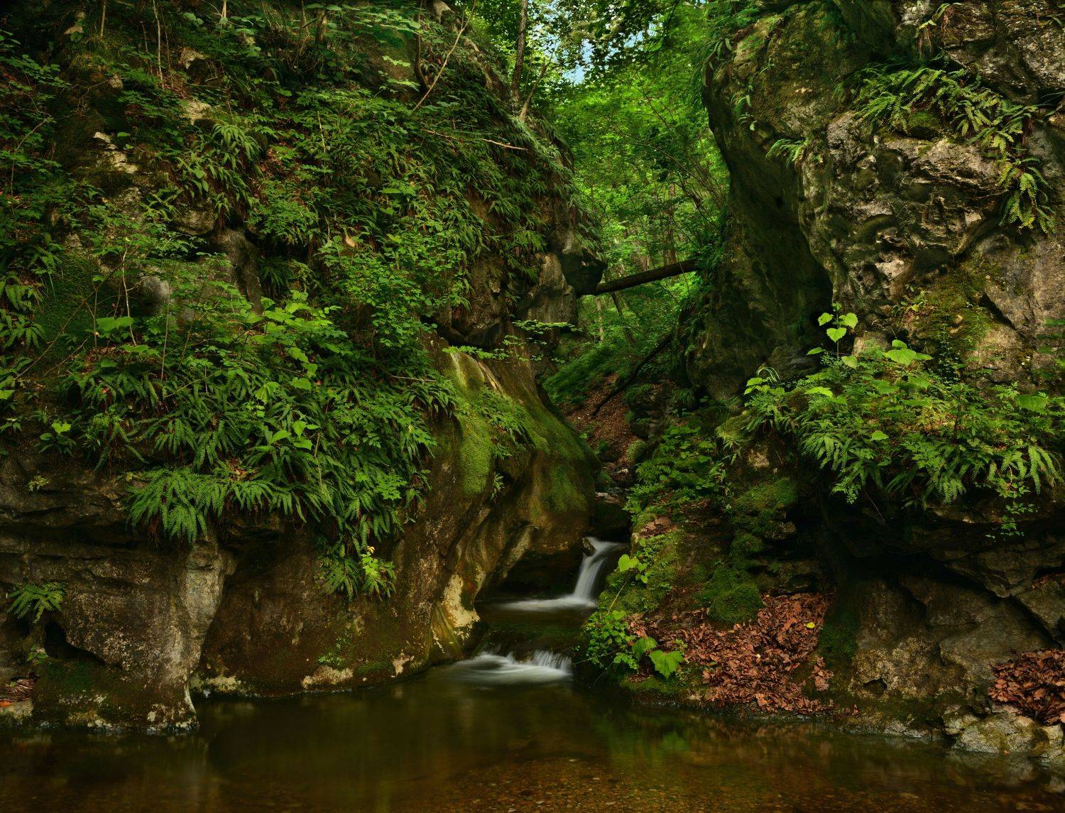 , Едуш Сергей