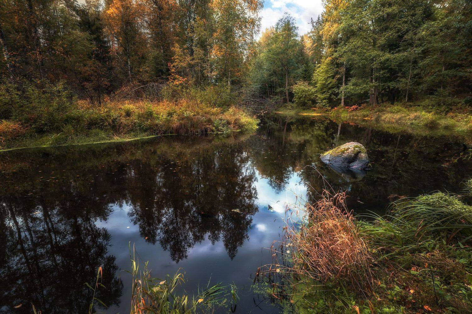 рощино линдуловская роща осень вечер сентябрь река рощинка линтуловка камни, Скороходов Константин