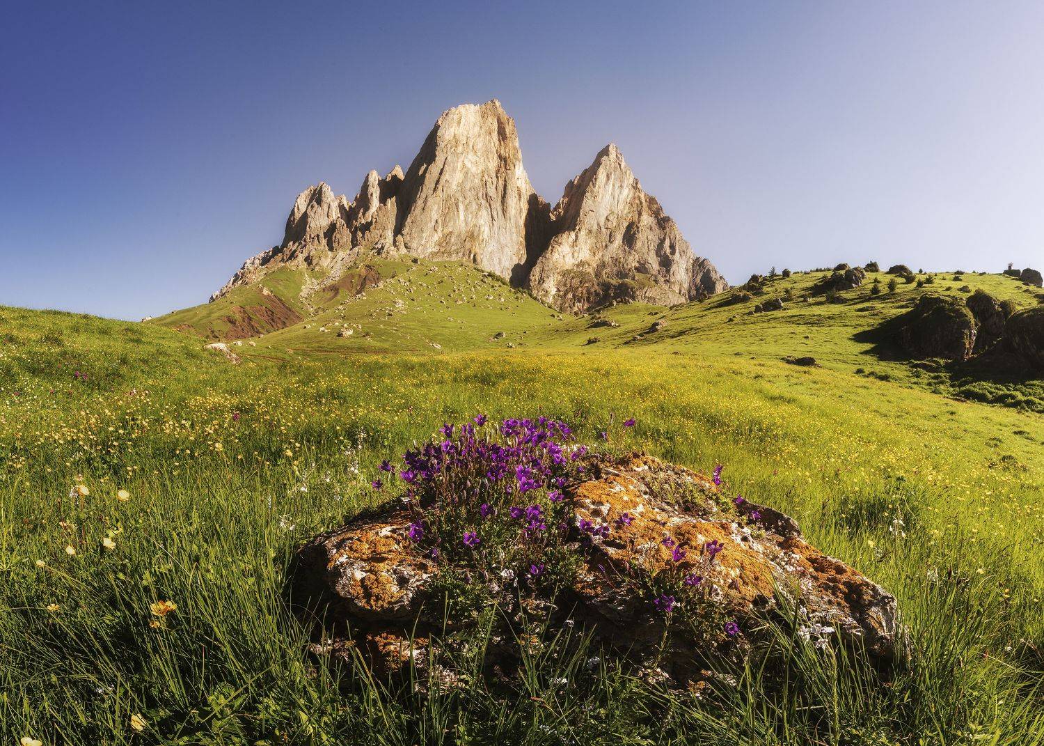 , Michael Kharitonychev