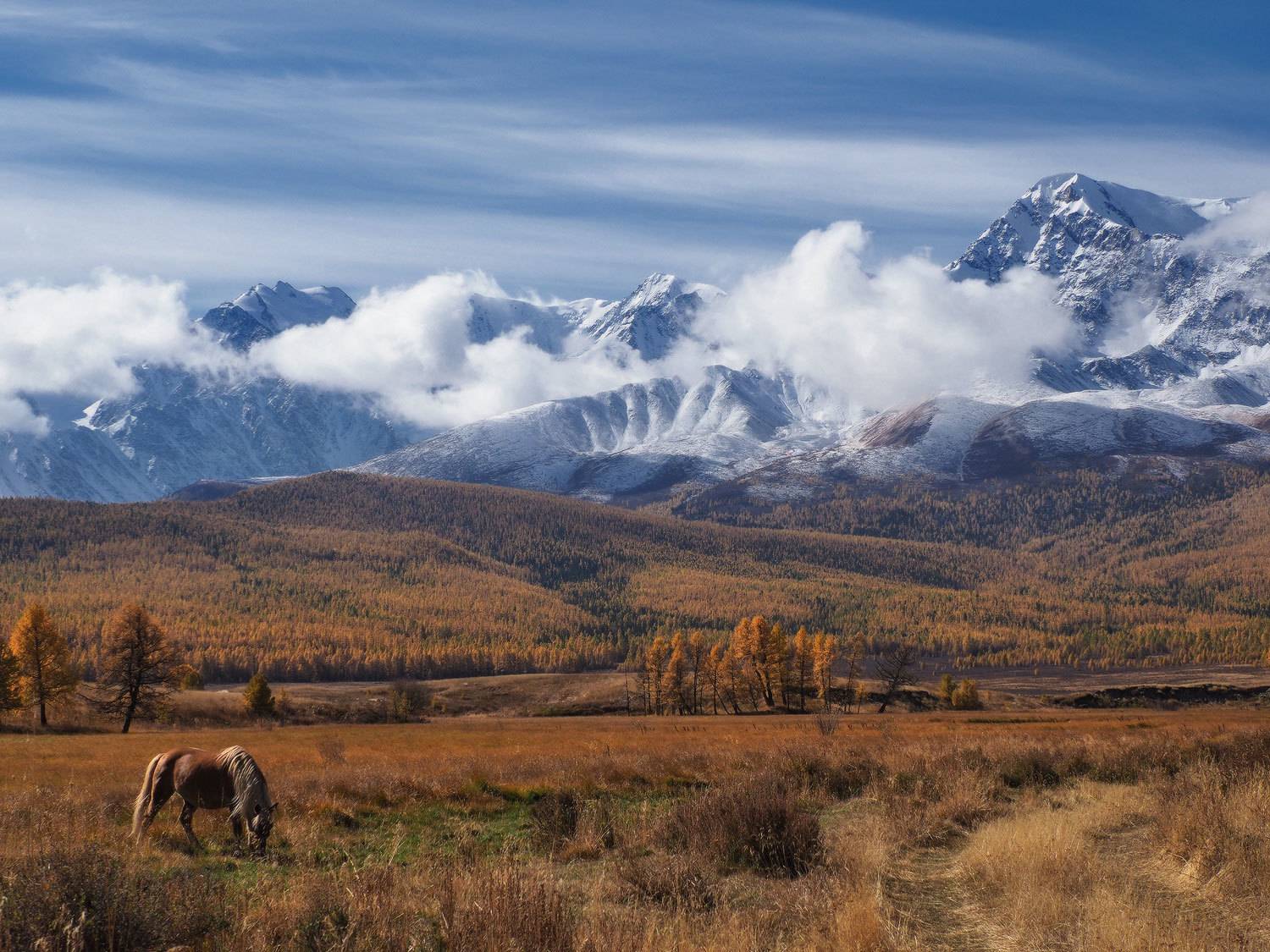 алтай, республика алтай, курай, лошади, плато ештыкёль, сибирь, Галина Хвостенко