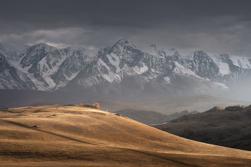 Свет Курайской степи фото превью
