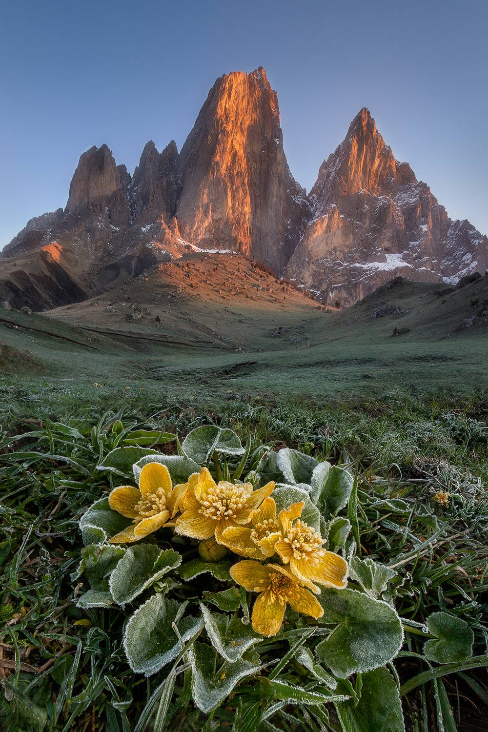 , Константин Маланин