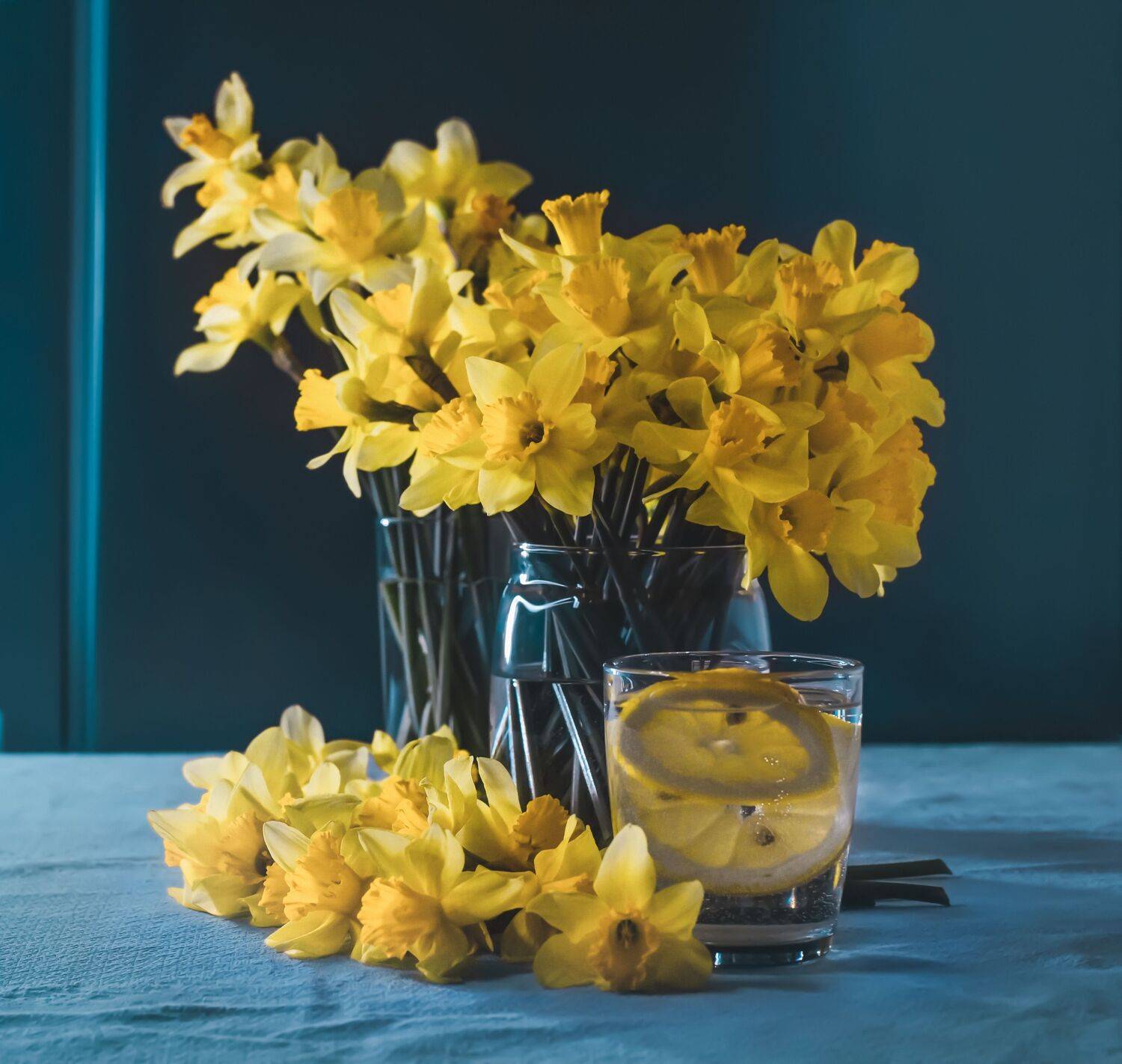 Нарциссы, весенние цветы, желтые нарциссы, букет цветов, желтый, весна, растения, Shadow Anna