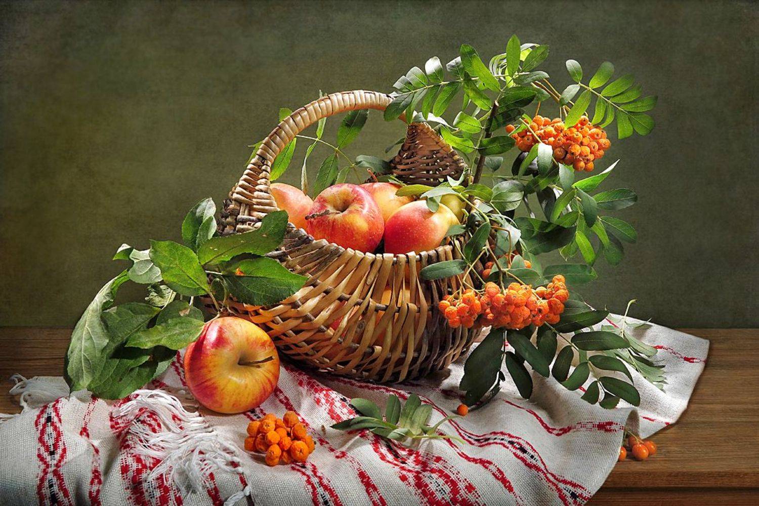 натюрморт,рябина,яблоки,корзина,полотенце, Алла Шевченко