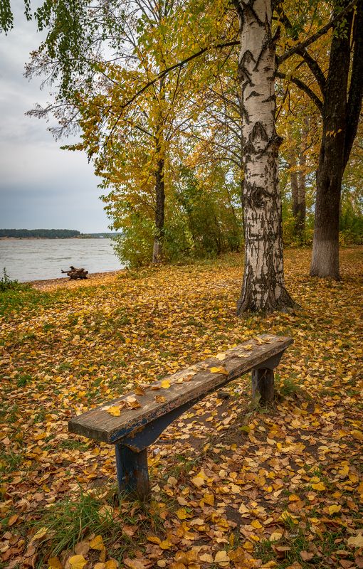 Золотая осень. фото превью
