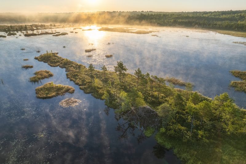 Болото Галкино фото превью