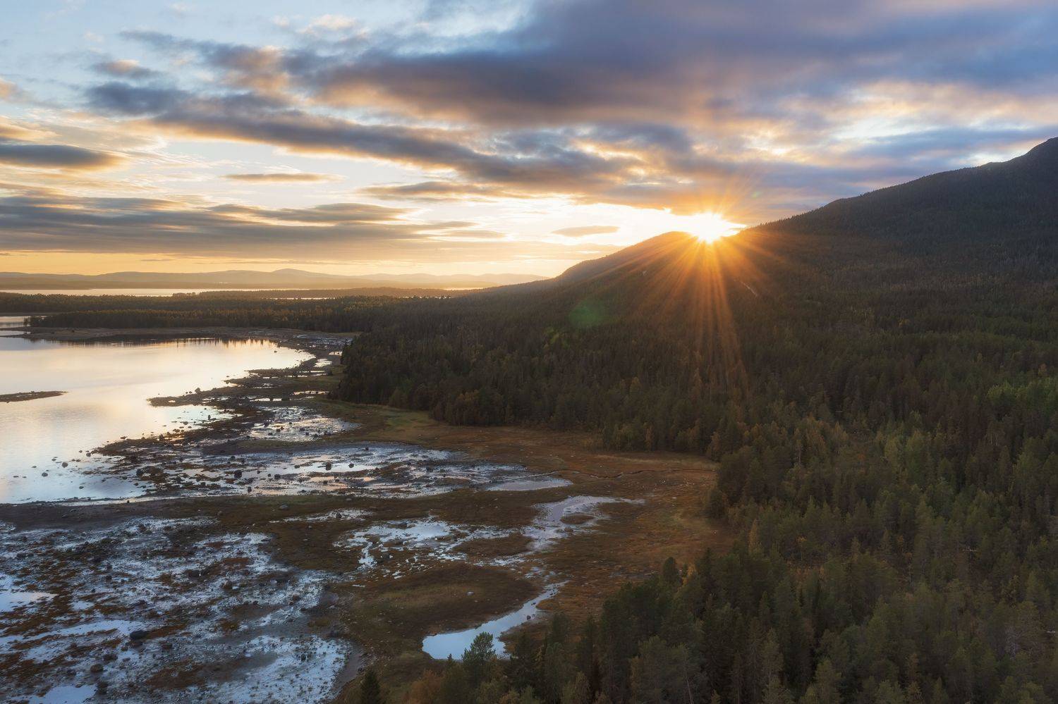 , Светлана Краюшкина