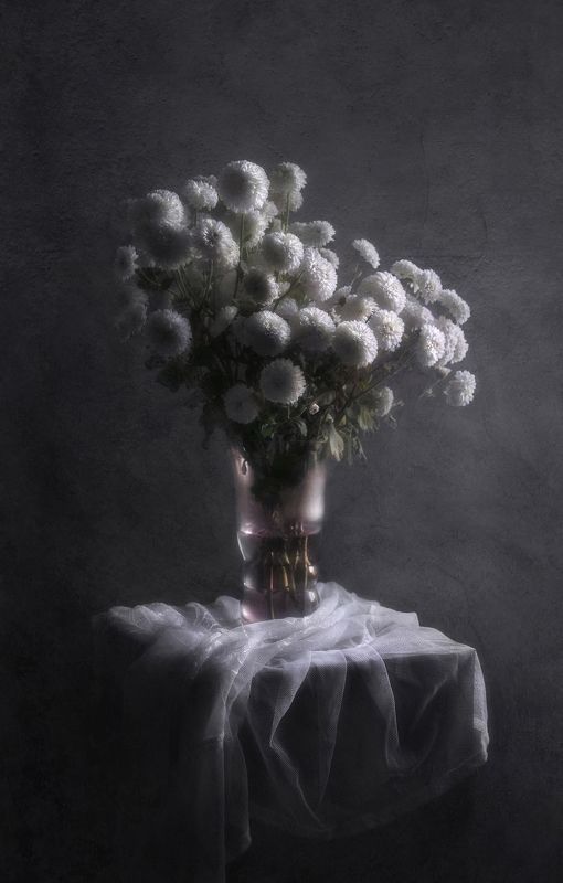 Снежные хризантемы фото превью