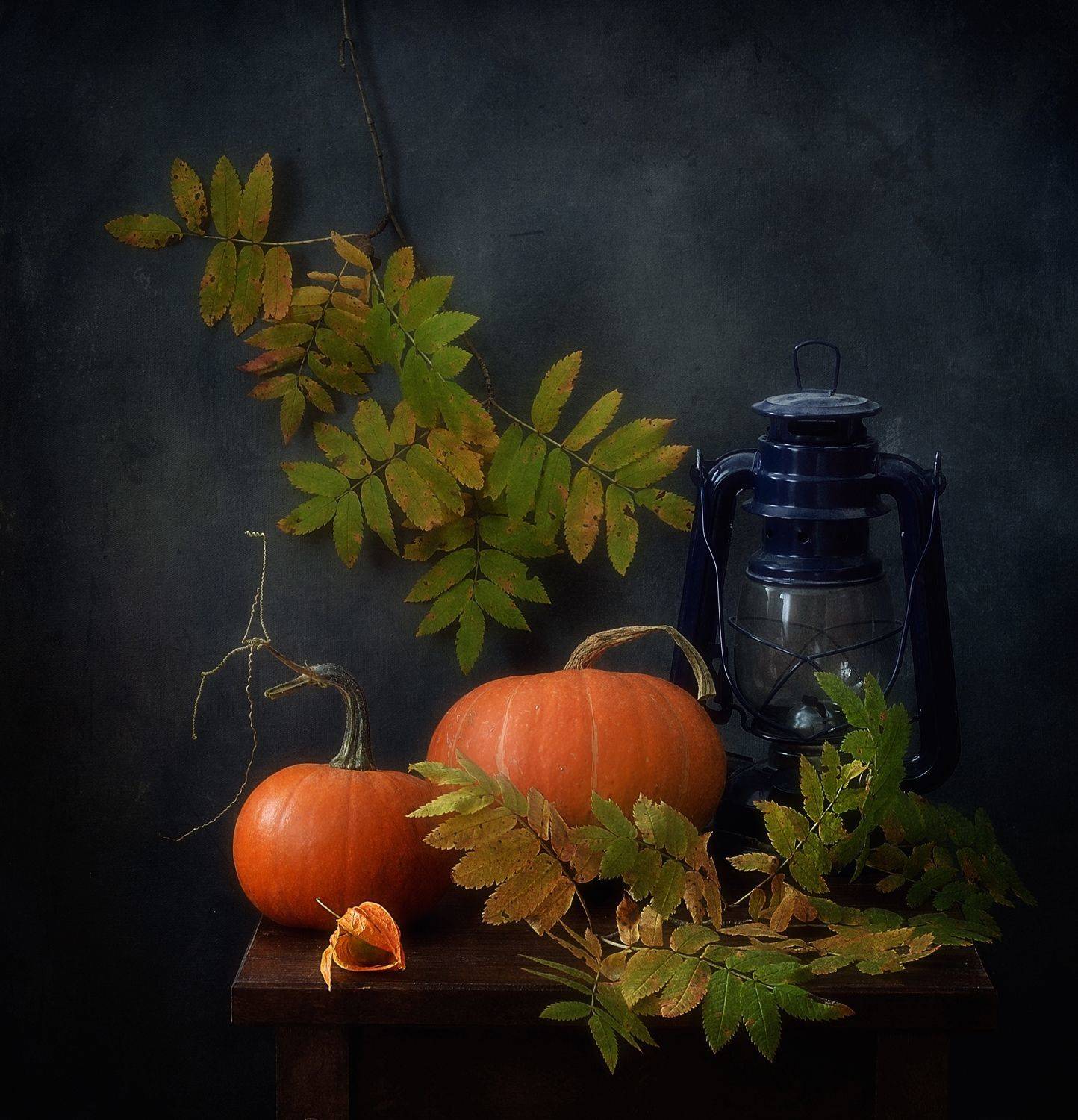 натюрморт,композиция,осень,листья,физалис,тыквы,фонарь, Наталия К