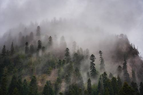 Домбай. Карачаево-Черкесская Республика