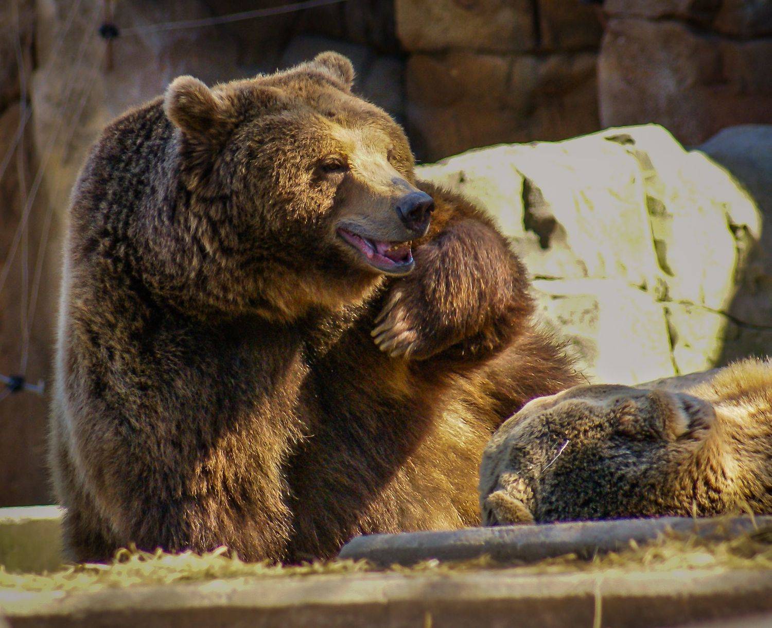 , Максимова Дария