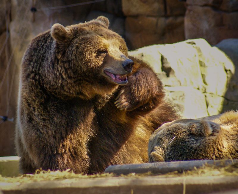 Кто, Я? фото превью