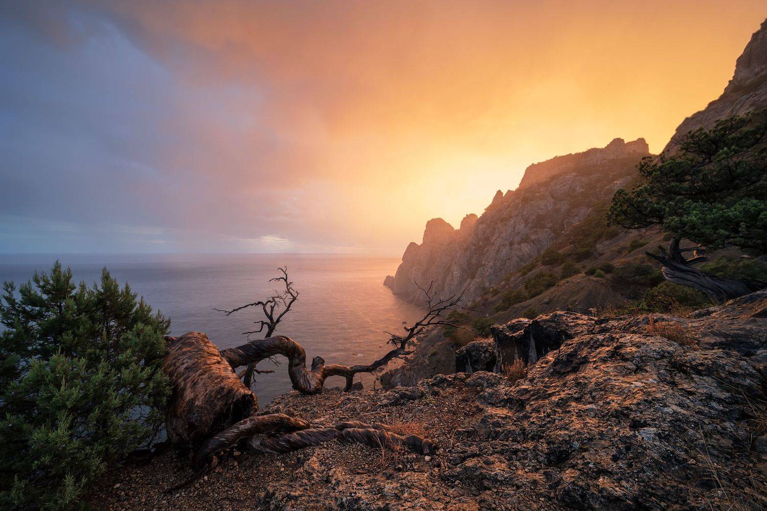 , Николай Носов