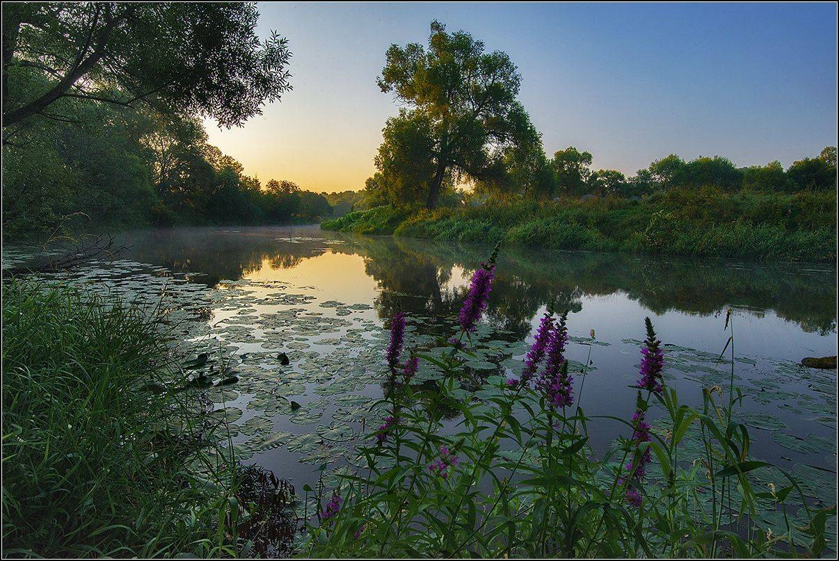 калужская обл. р. протва, утро, АНАТОЛИЙ ДОВЫДЕНКО