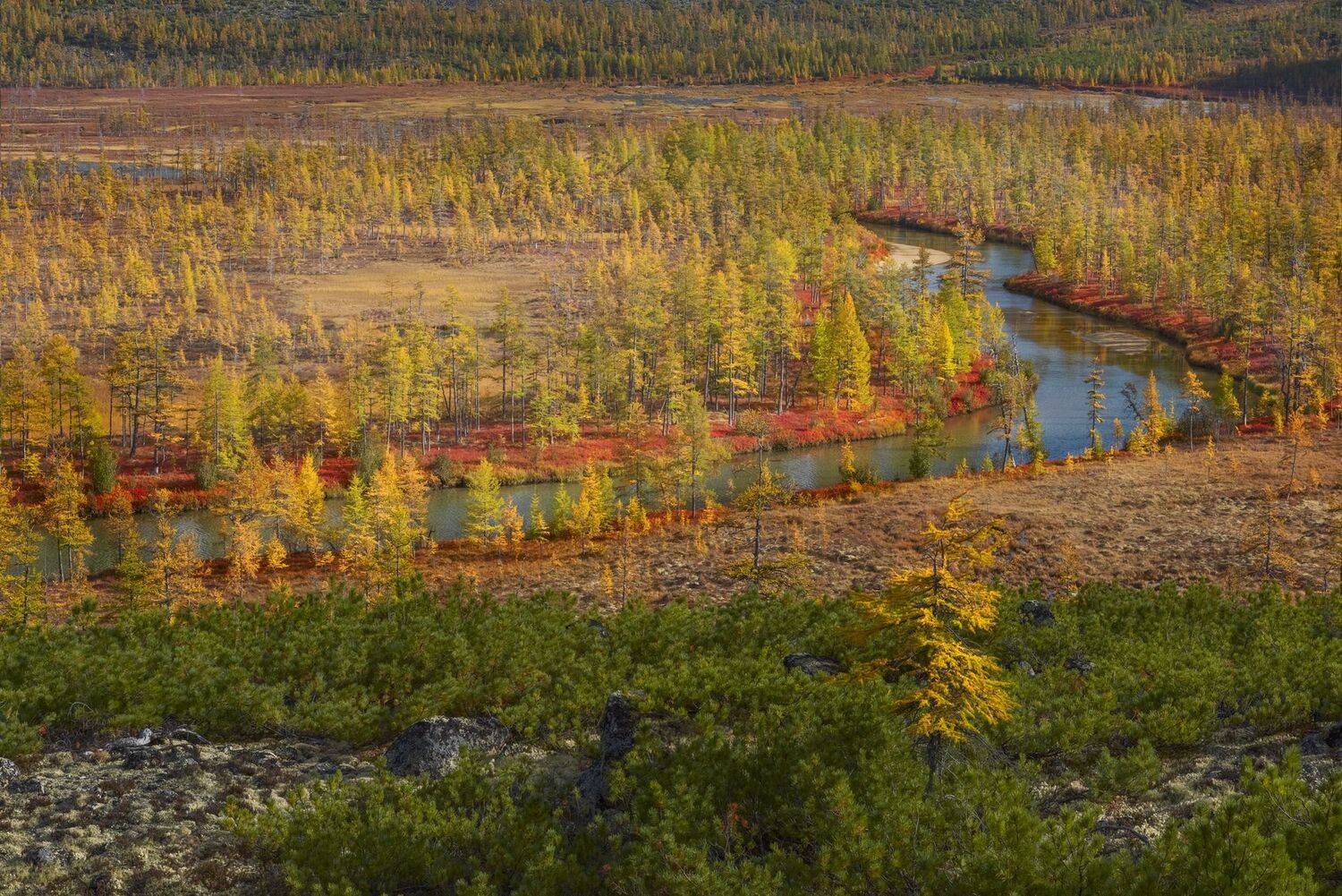 Фототуры с Владимиром Рябковым, #озероджекалондона #колыма #loves_russia #nikonrussia #landscape_russia #ru_landscape  #русскийсевер #landscapephotography #photoarena_nature #Russiannature #большаястрана #russpasibo #topnature #lovelyRussia #природаРоссии, Владимир Рябков