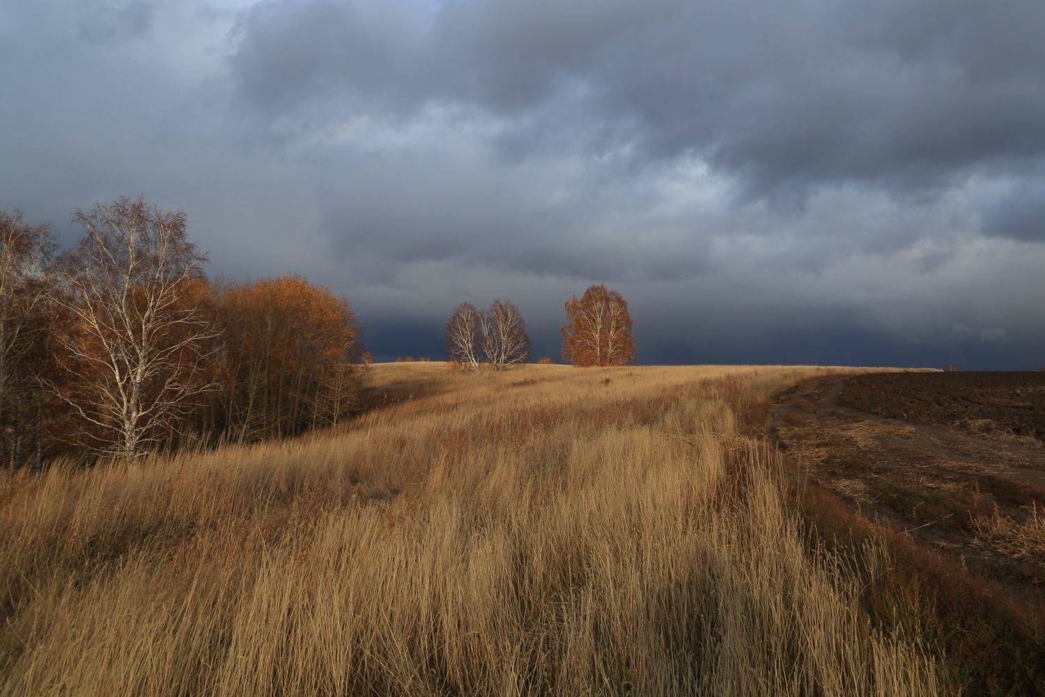 , Евгений Зинов