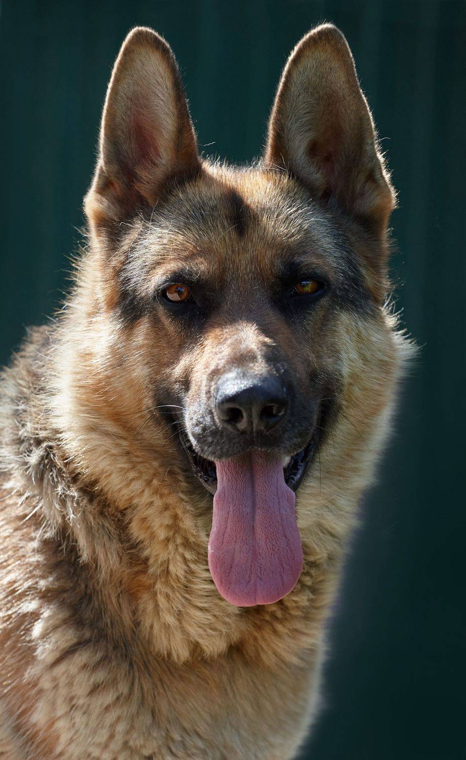 , Владимир Краснов