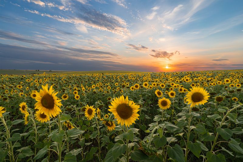 Августовский вечер фото превью
