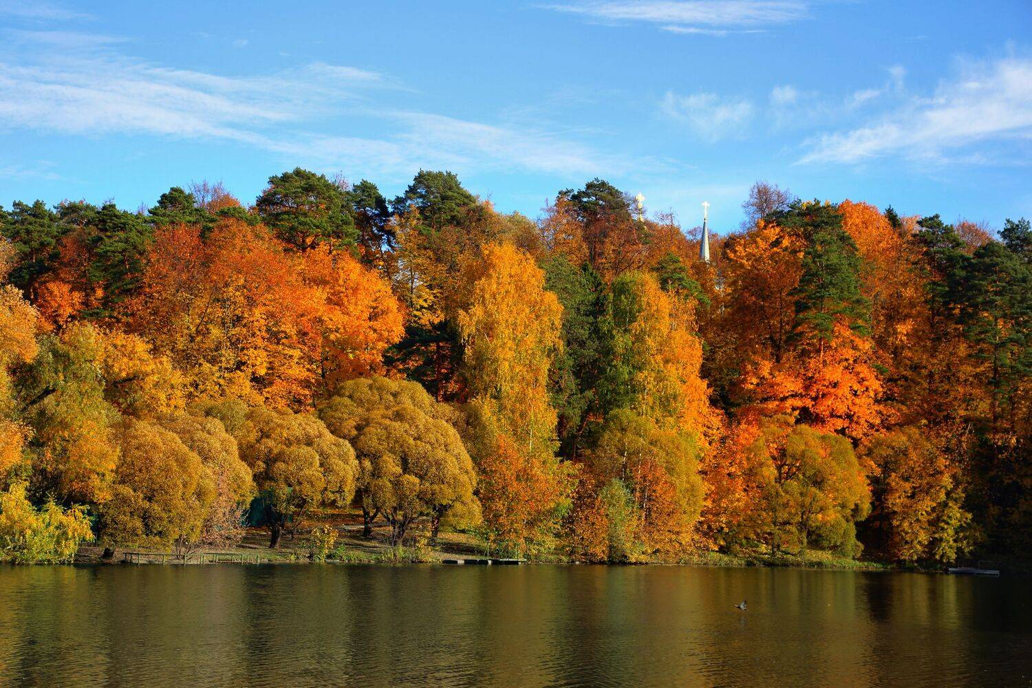 , Александр Шандов